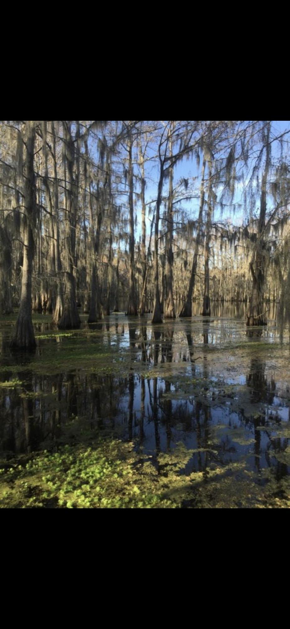 Bayou And Beyond: The Perfect Stay Monroe Buitenkant foto